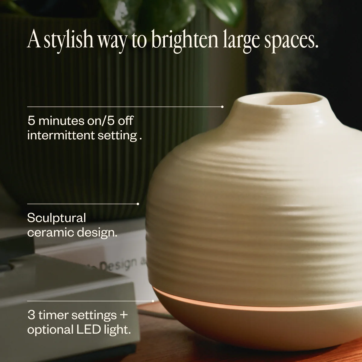 Aroma Cocoon & Liquid Sunshine - Image 4