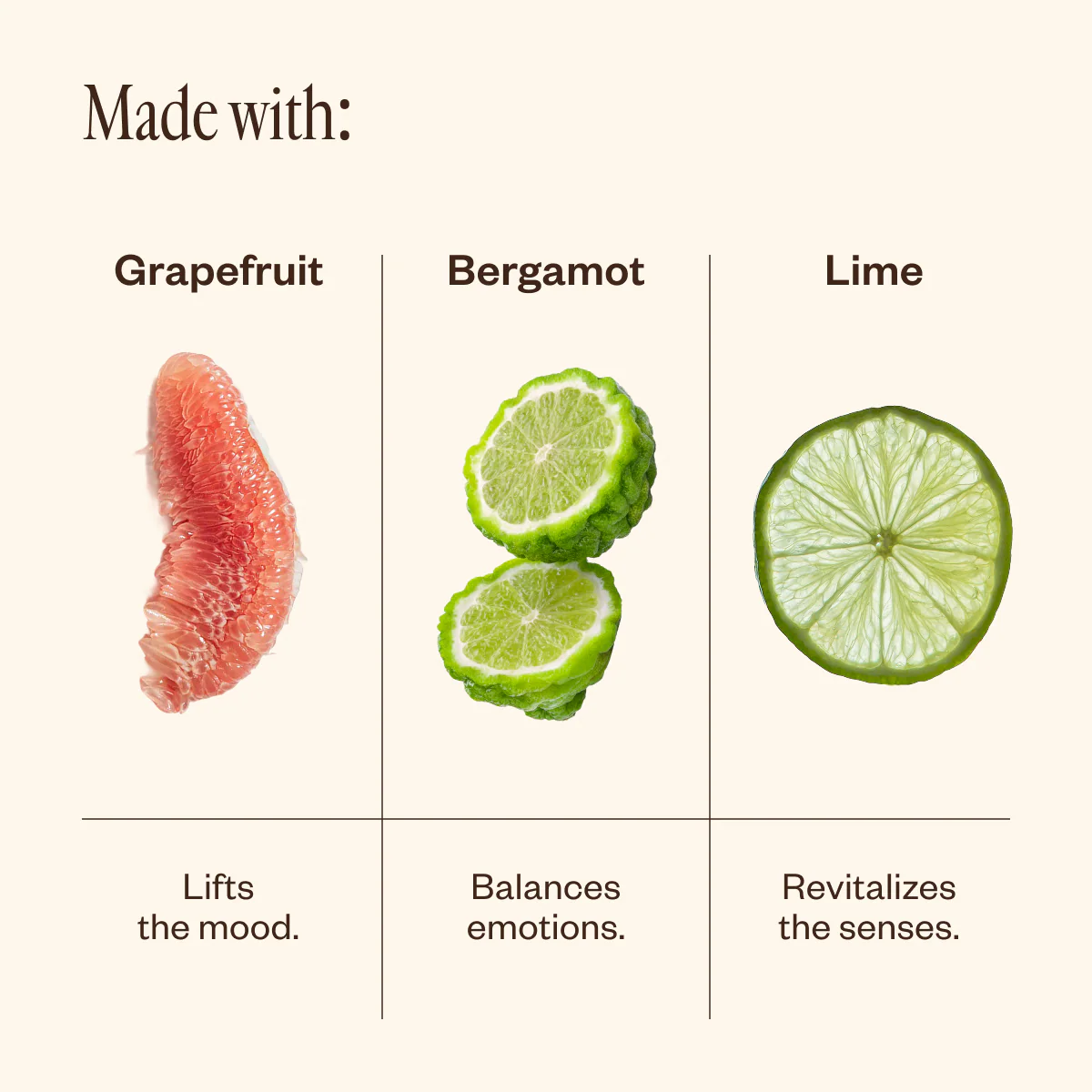Aroma Cocoon & Liquid Sunshine - Image 6
