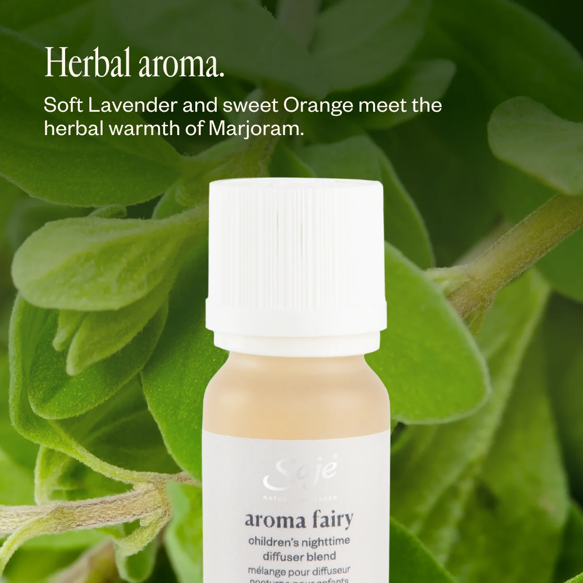 Aroma Fairy - Image 5