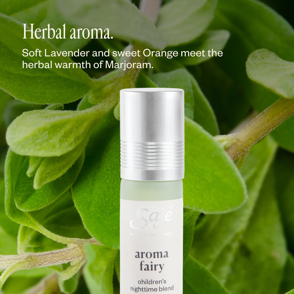 Aroma Fairy - Image 5