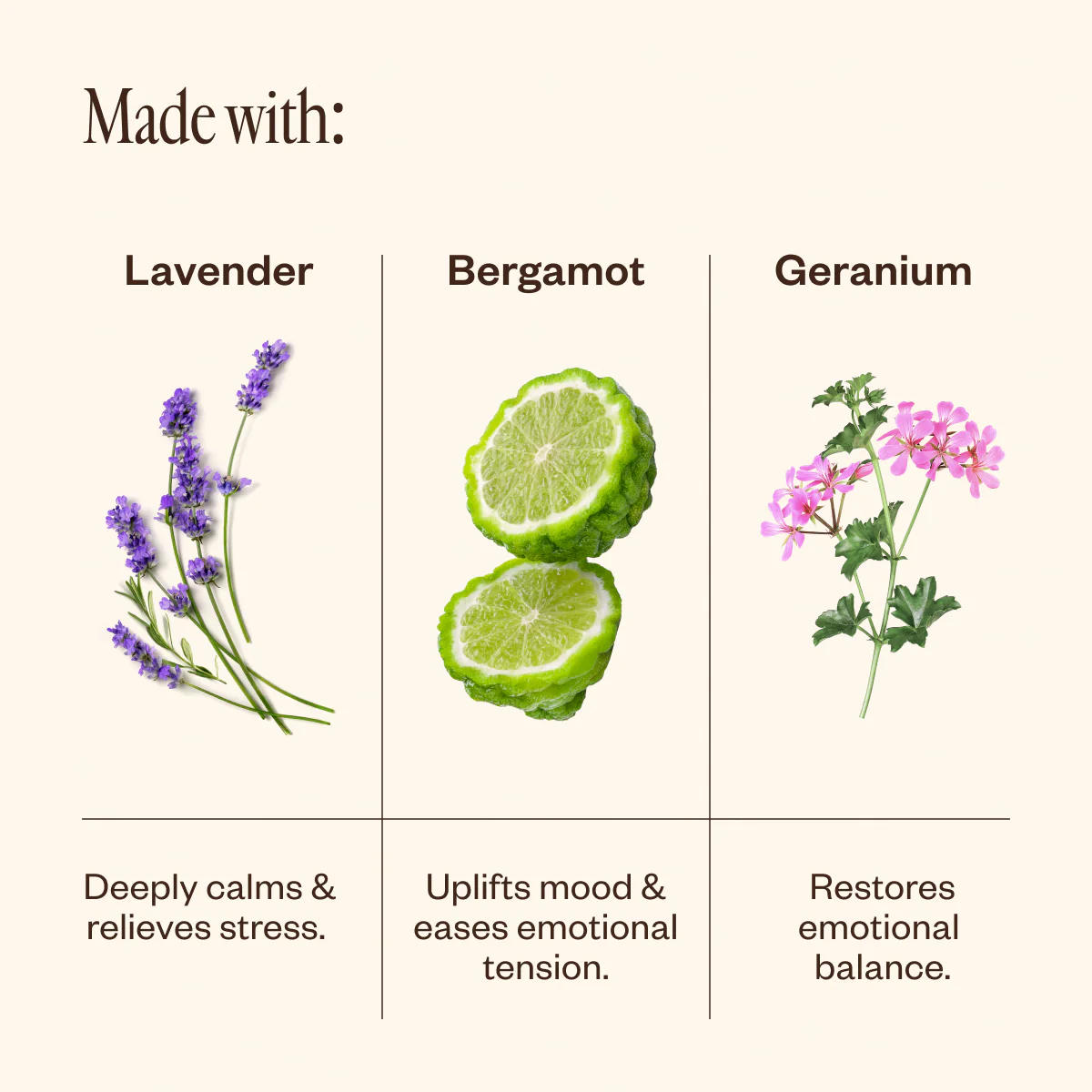 Aroma Halo & Unwind  - Image 4