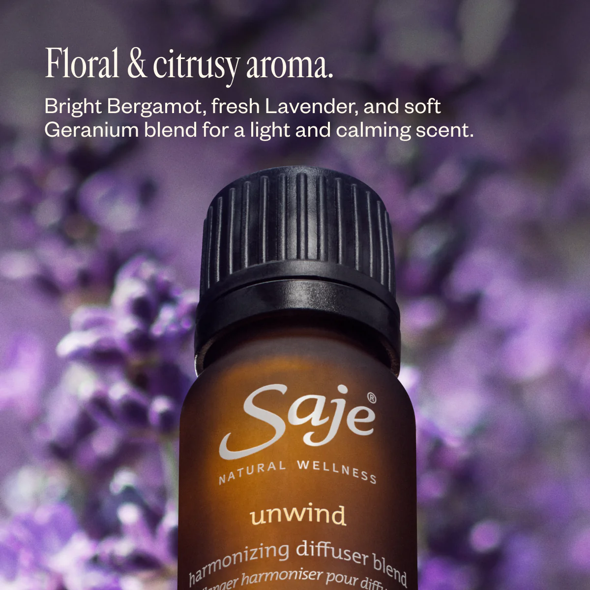 Aroma Halo & Unwind  - Image 5