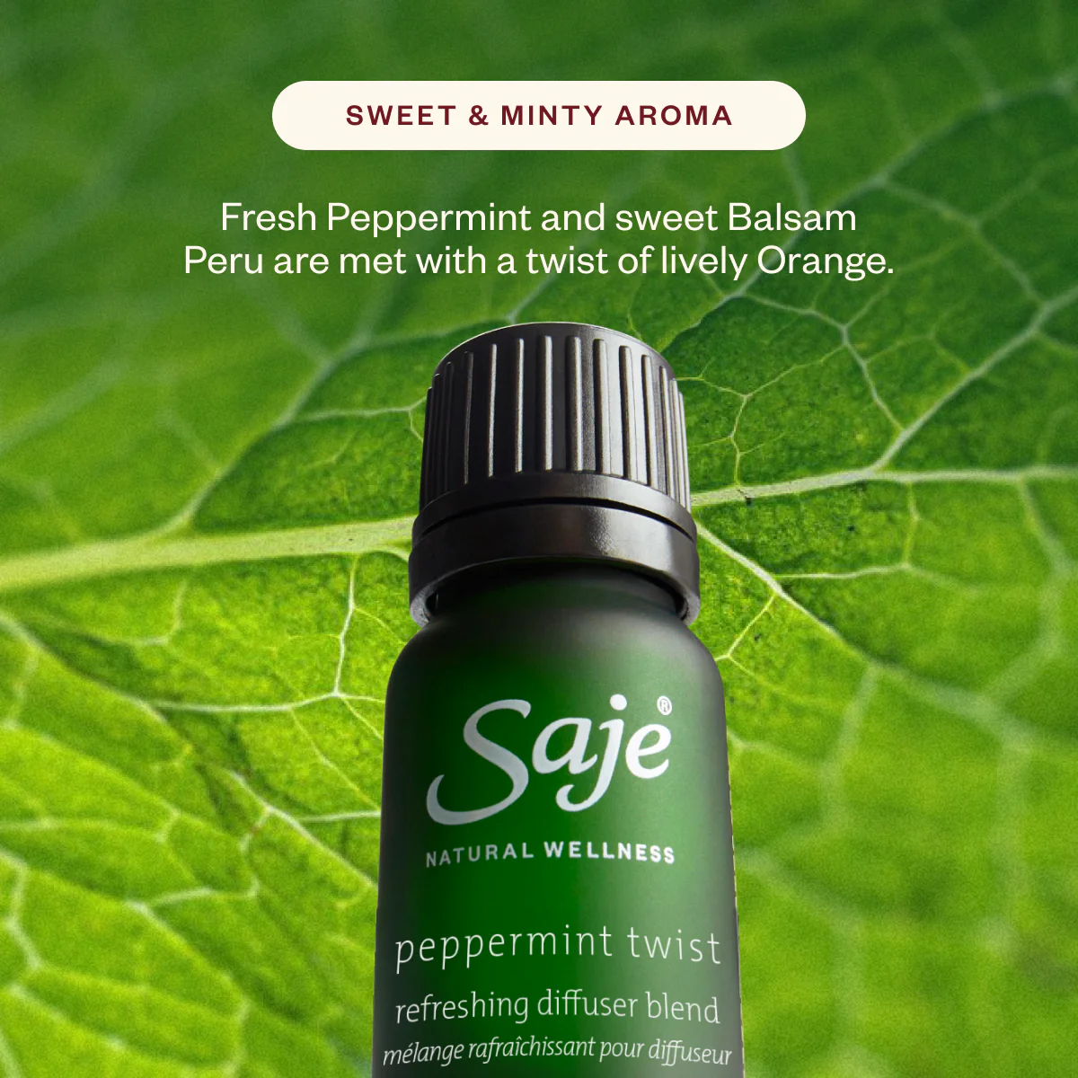 Aroma Horizon & Peppermint Twist - Image 5