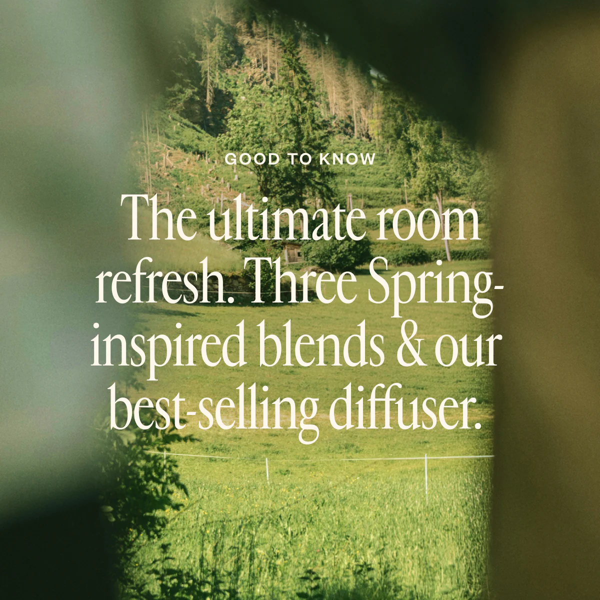 Spring Refresh Diffuser Bundle - Image 2