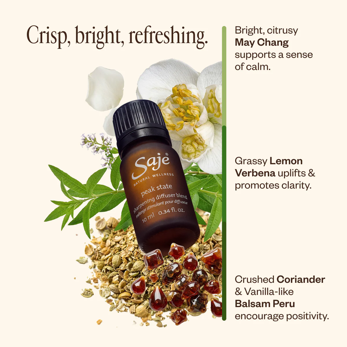 Spring Refresh Diffuser Bundle - Image 5