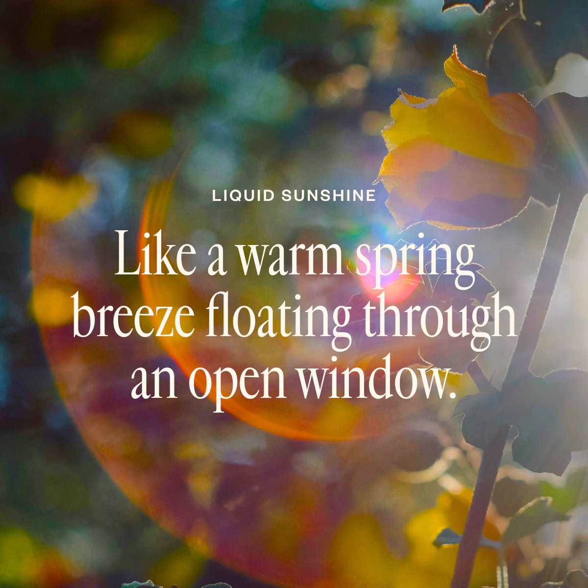Spring Refresh Diffuser Bundle - Image 8