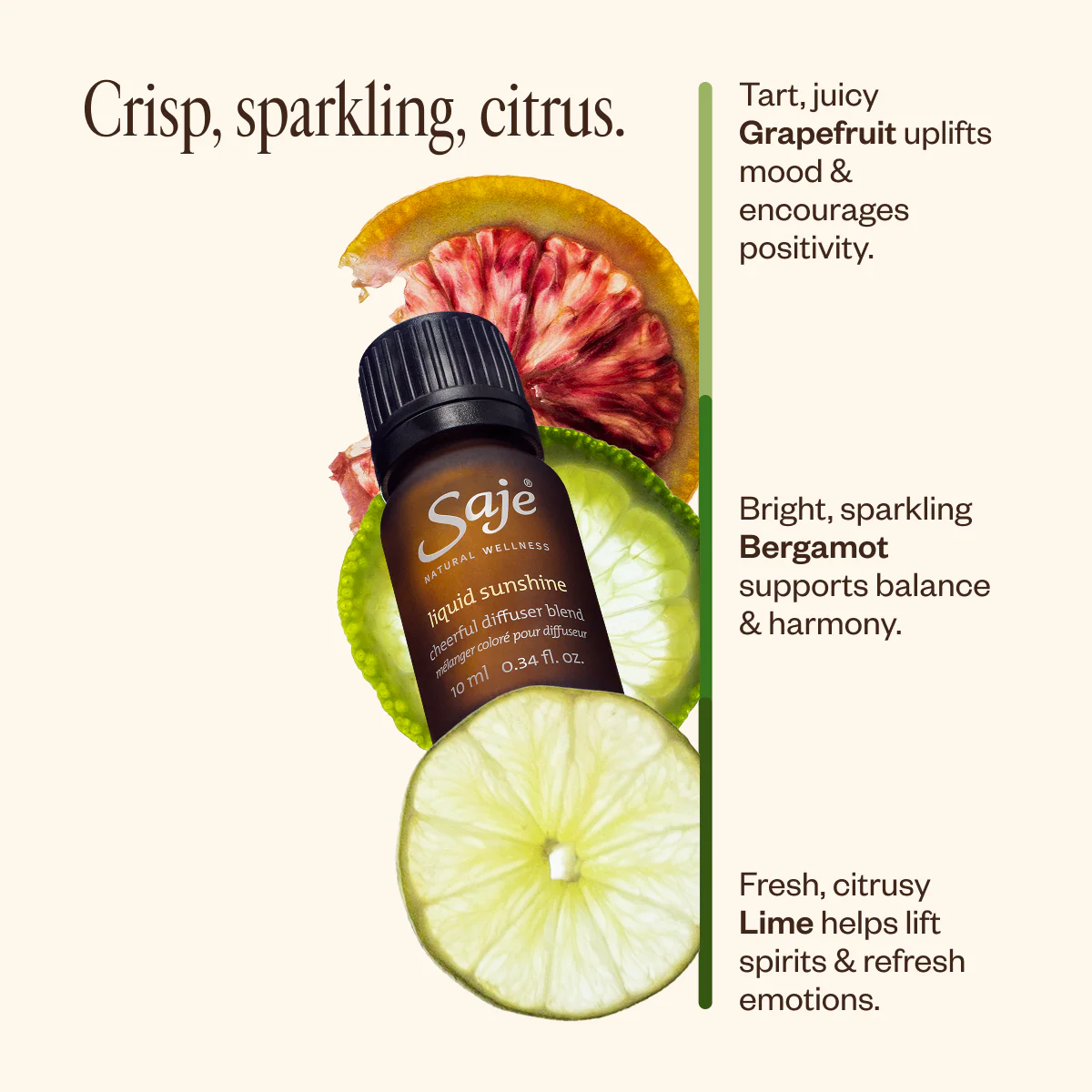 Spring Refresh Diffuser Bundle - Image 9