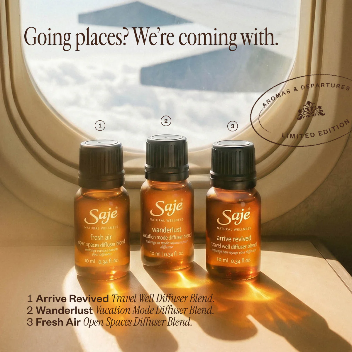 Aroma Roam - Image 10