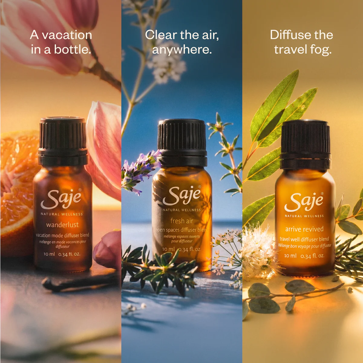Aromas & Departures - Image 12