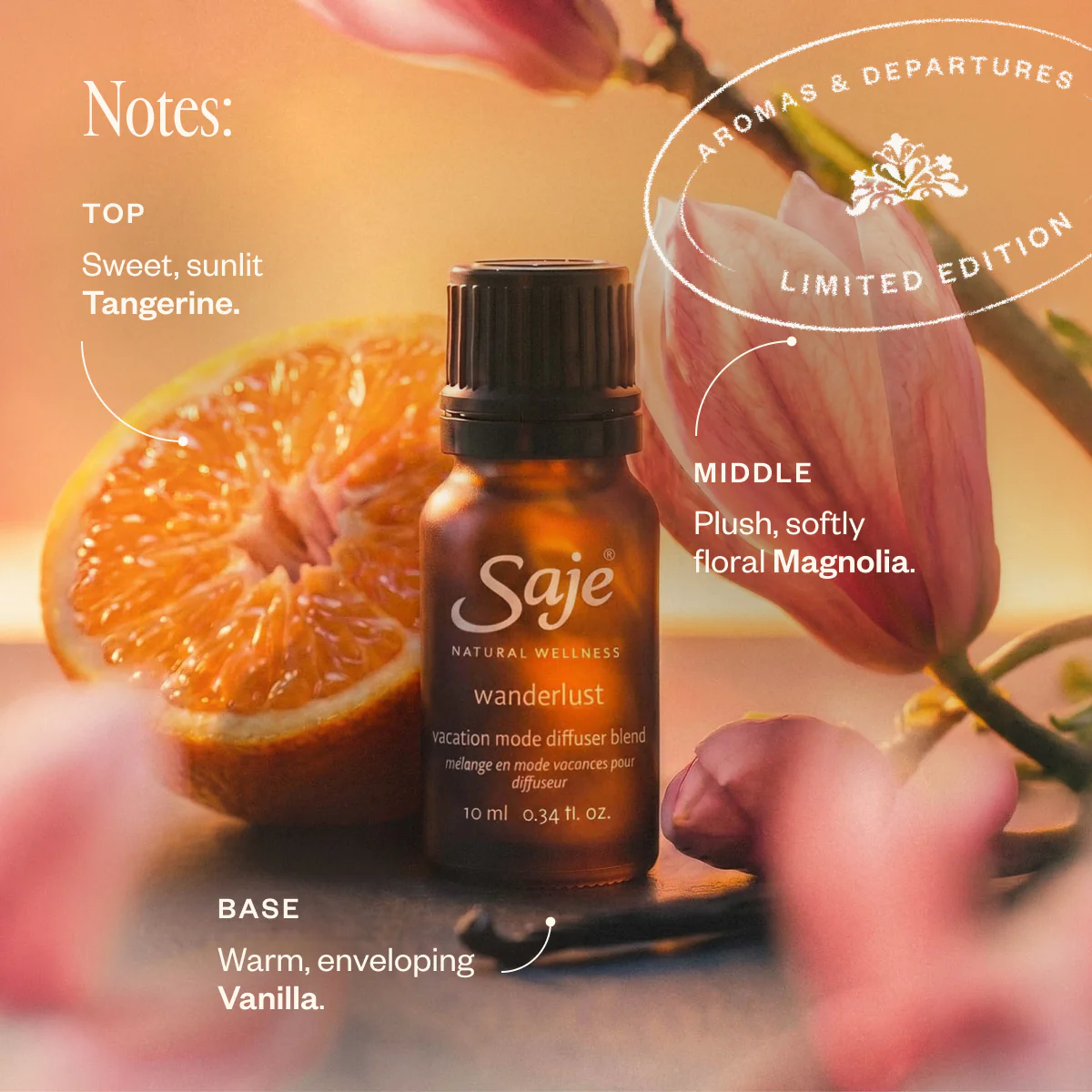 Aromas & Departures - Image 7