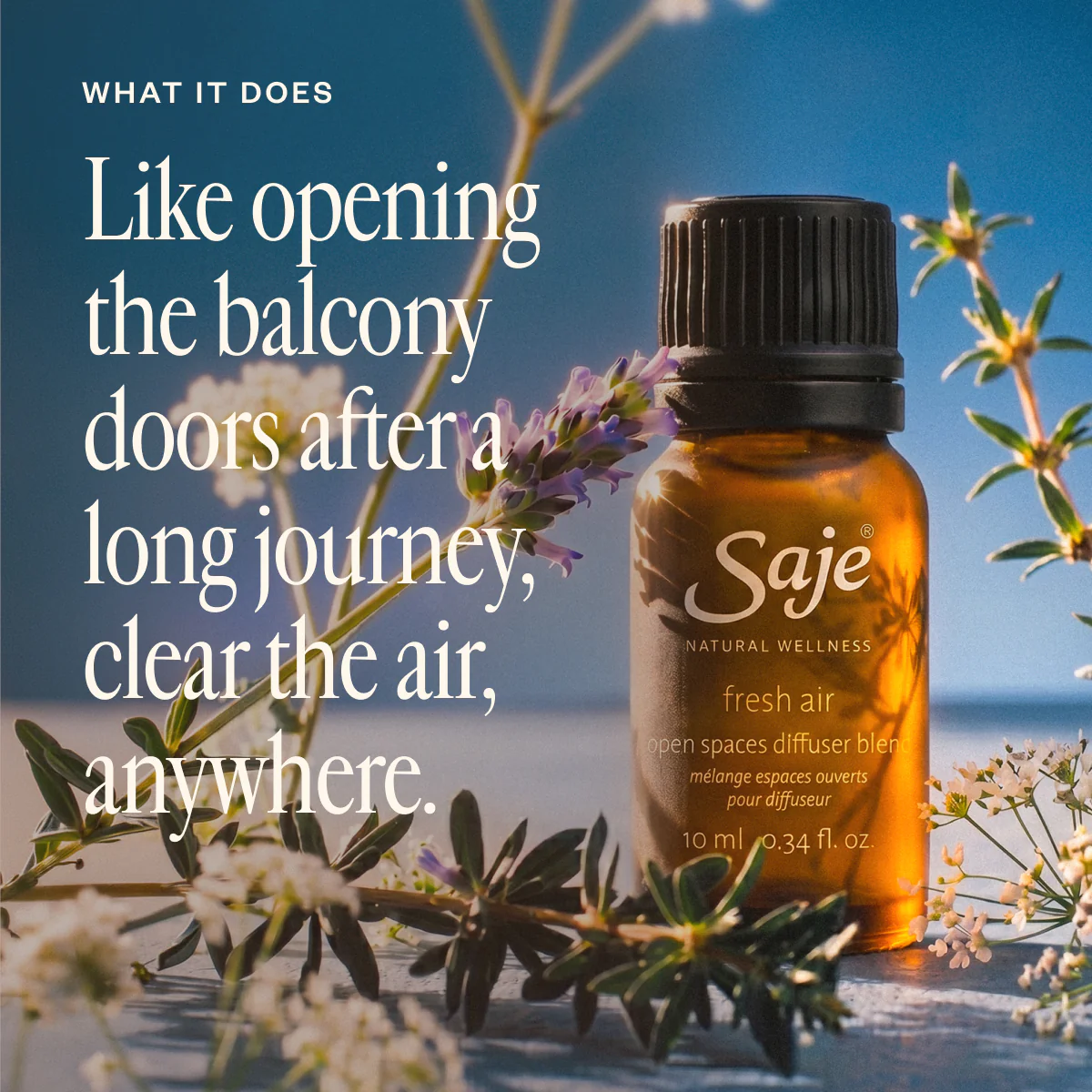 Aromas & Departures - Image 8