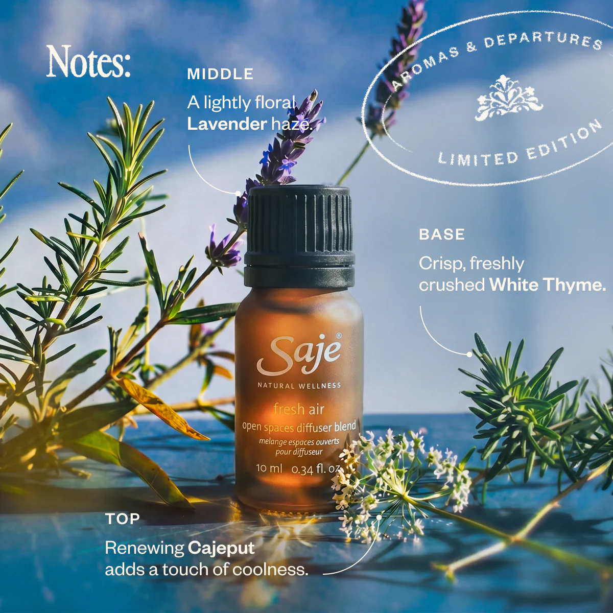 Aromas & Departures - Image 9