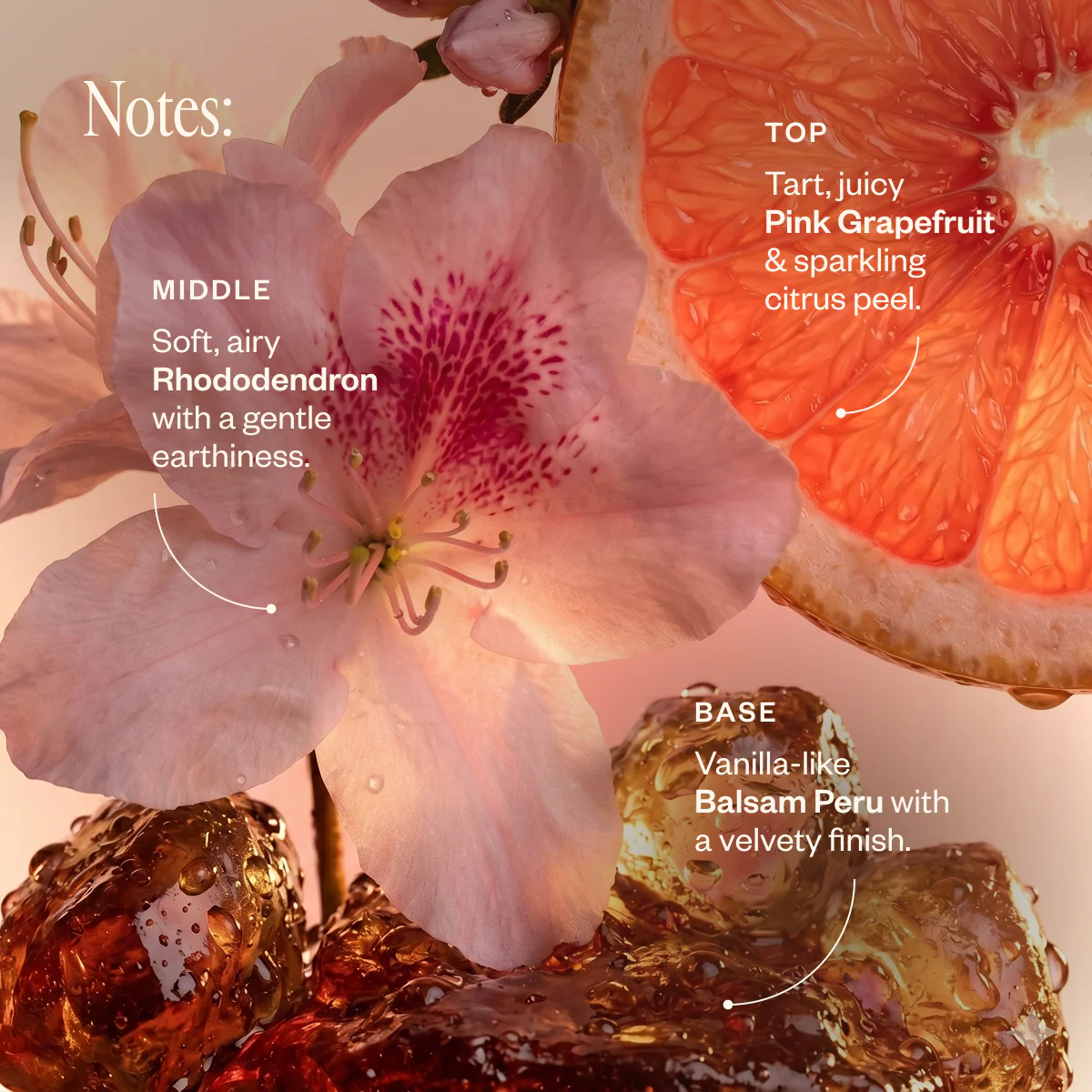 Bloom Bliss - Image 3