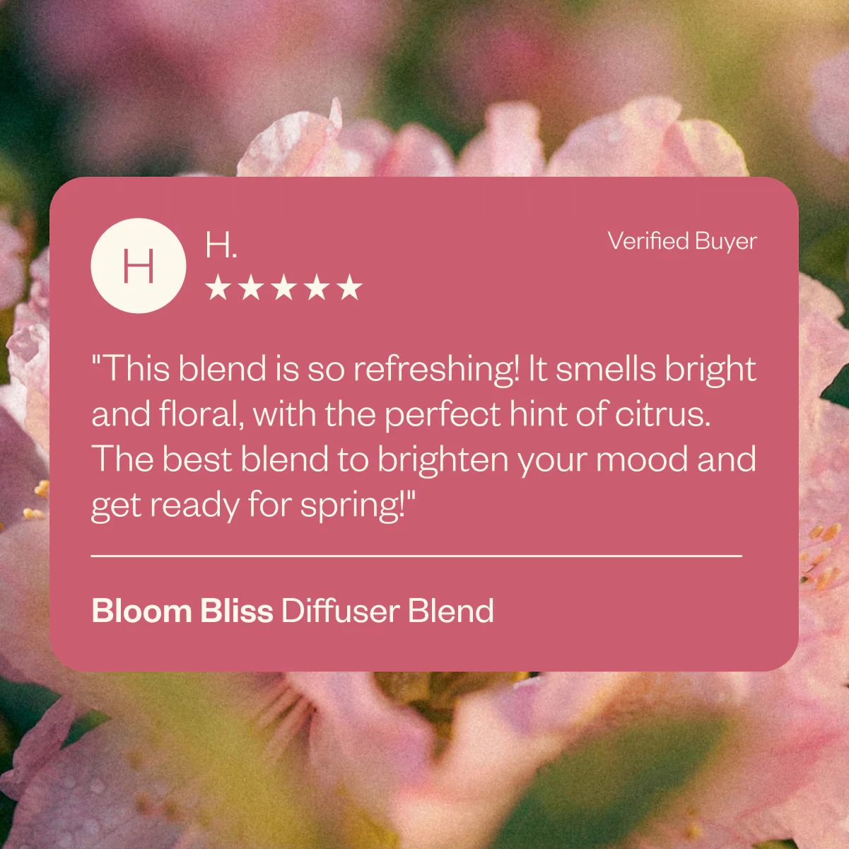 Bloom Bliss - Image 4