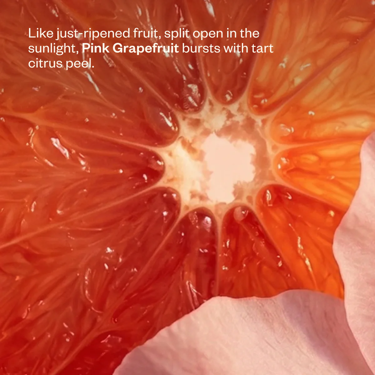 Bloom Bliss - Image 5