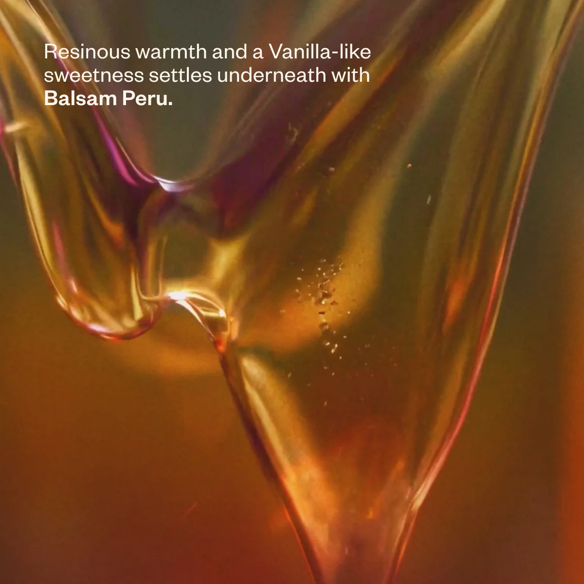Bloom Bliss - Image 7