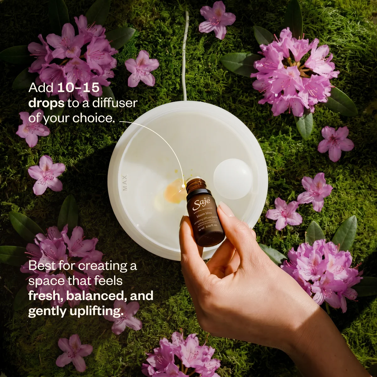 Bloom Bliss - Image 8