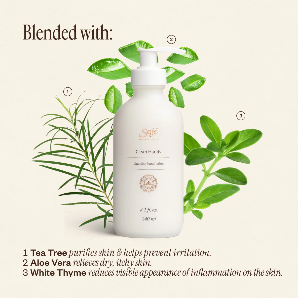 Clean Hands Ritual - Image 5