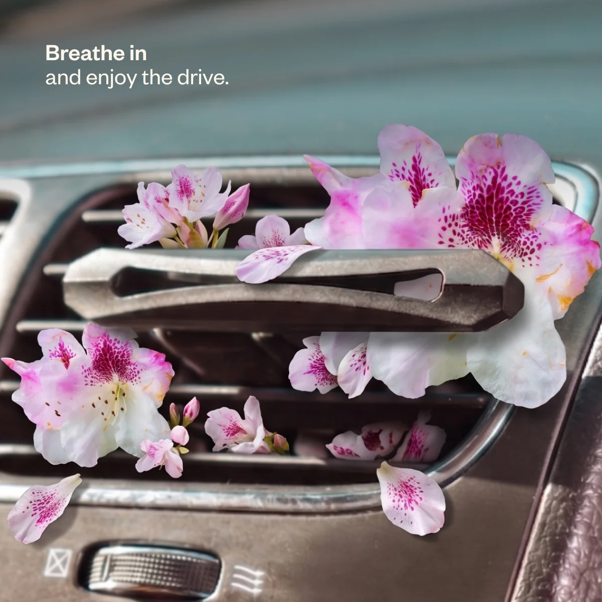 Drive Blissfully - Image 9