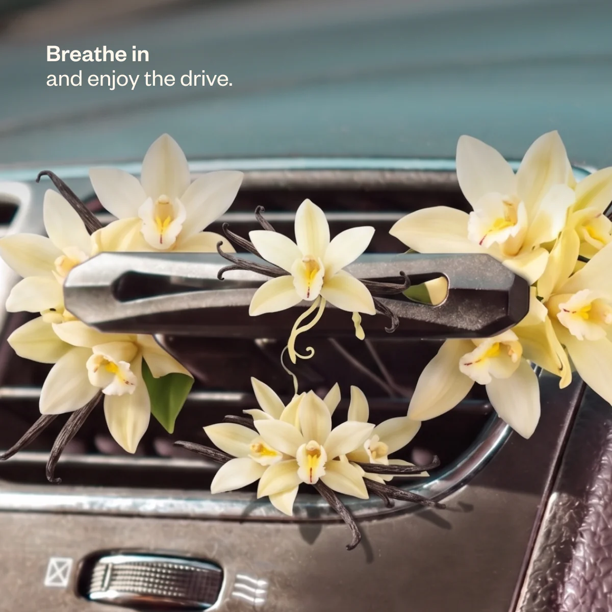 Drive Joyful - Image 10