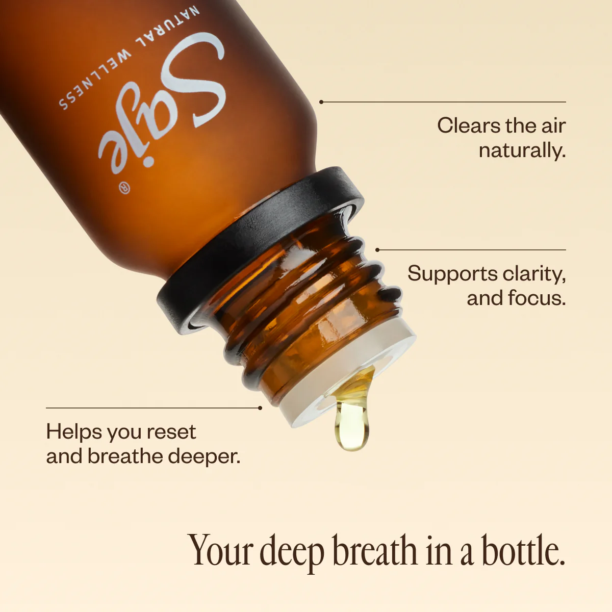 Eucalyptus Oil - Image 3
