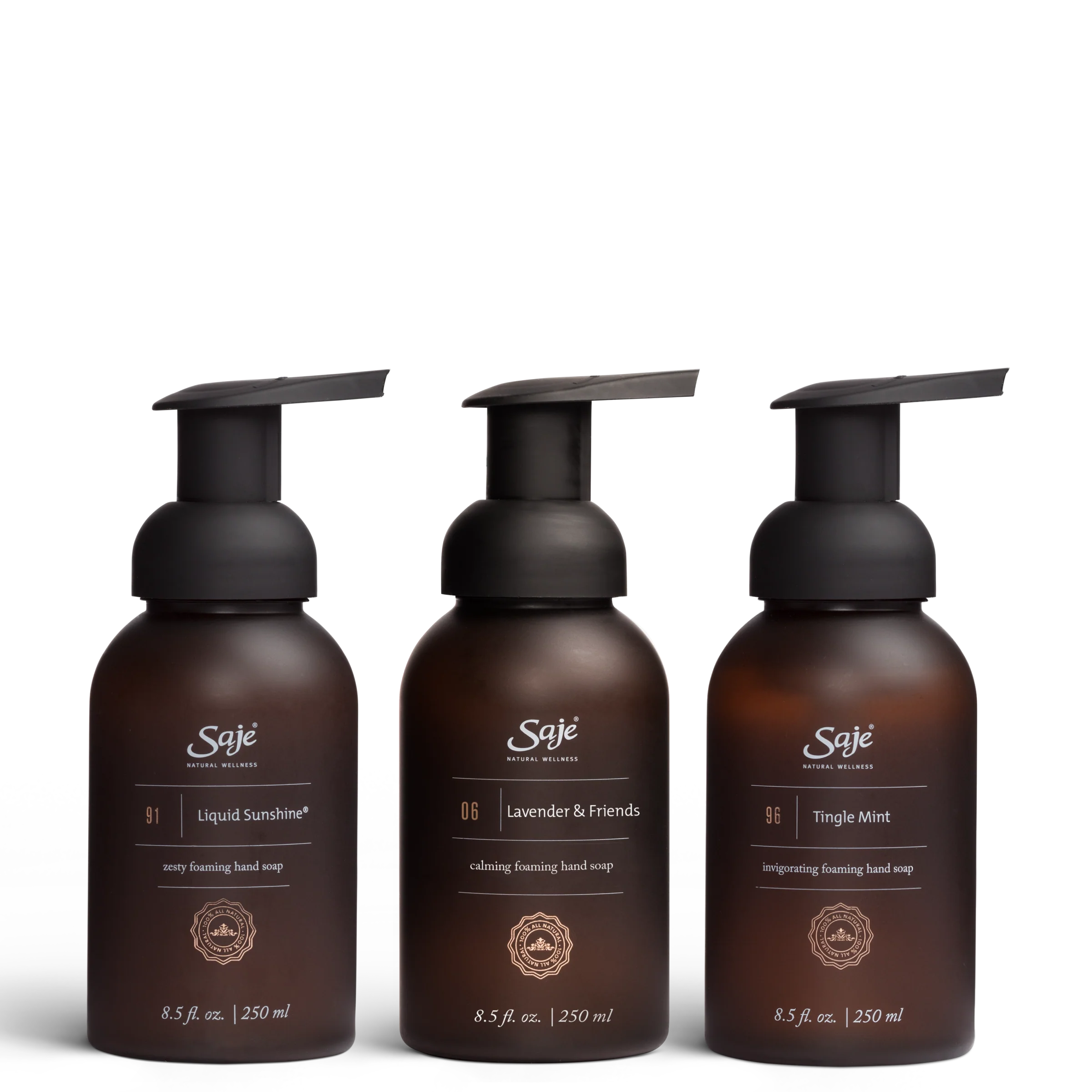Foaming Hand Soap Trio