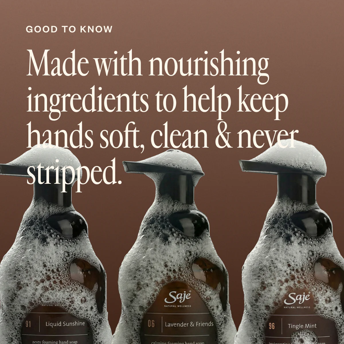 Foaming Hand Soap Trio - Image 2