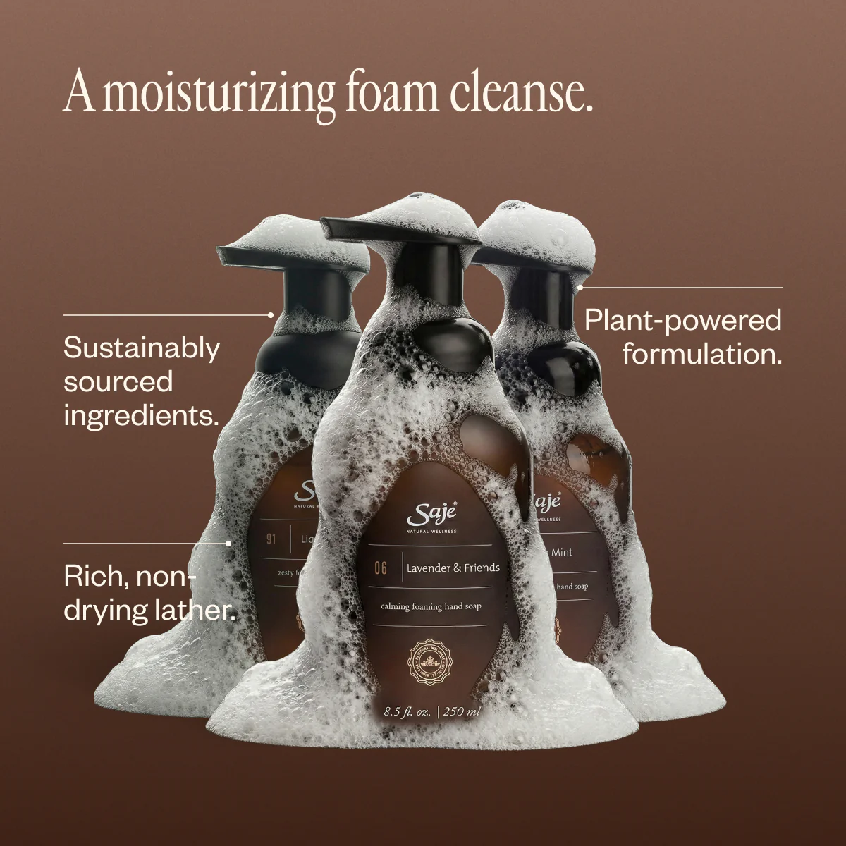 Foaming Hand Soap Trio - Image 3