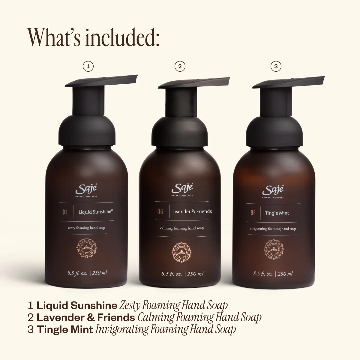 Foaming Hand Soap Trio - Image 4