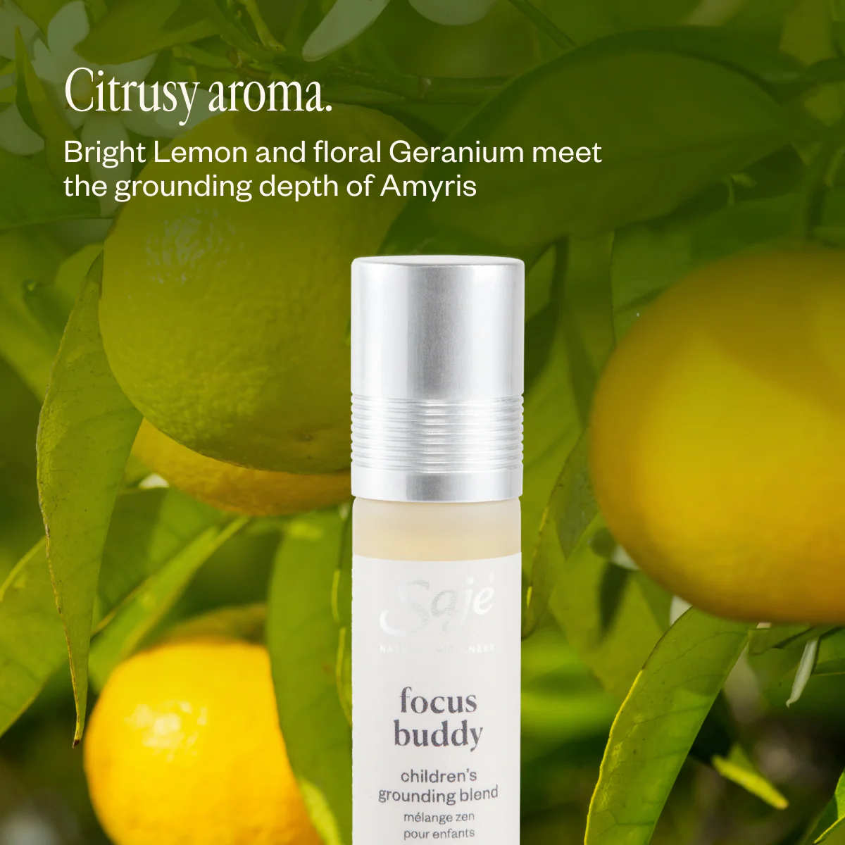 Focus Buddy - Image 5