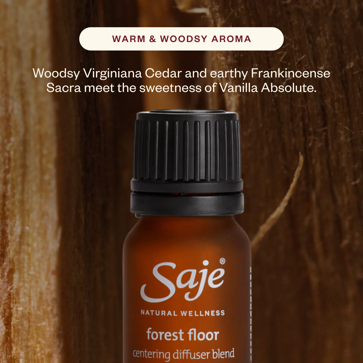 Forest Floor - Image 5