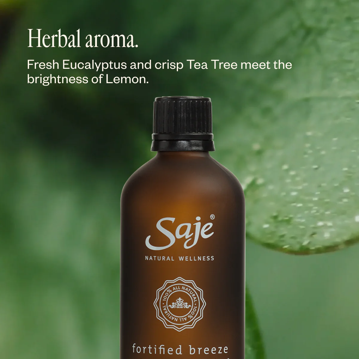 Fortified Breeze - Image 5