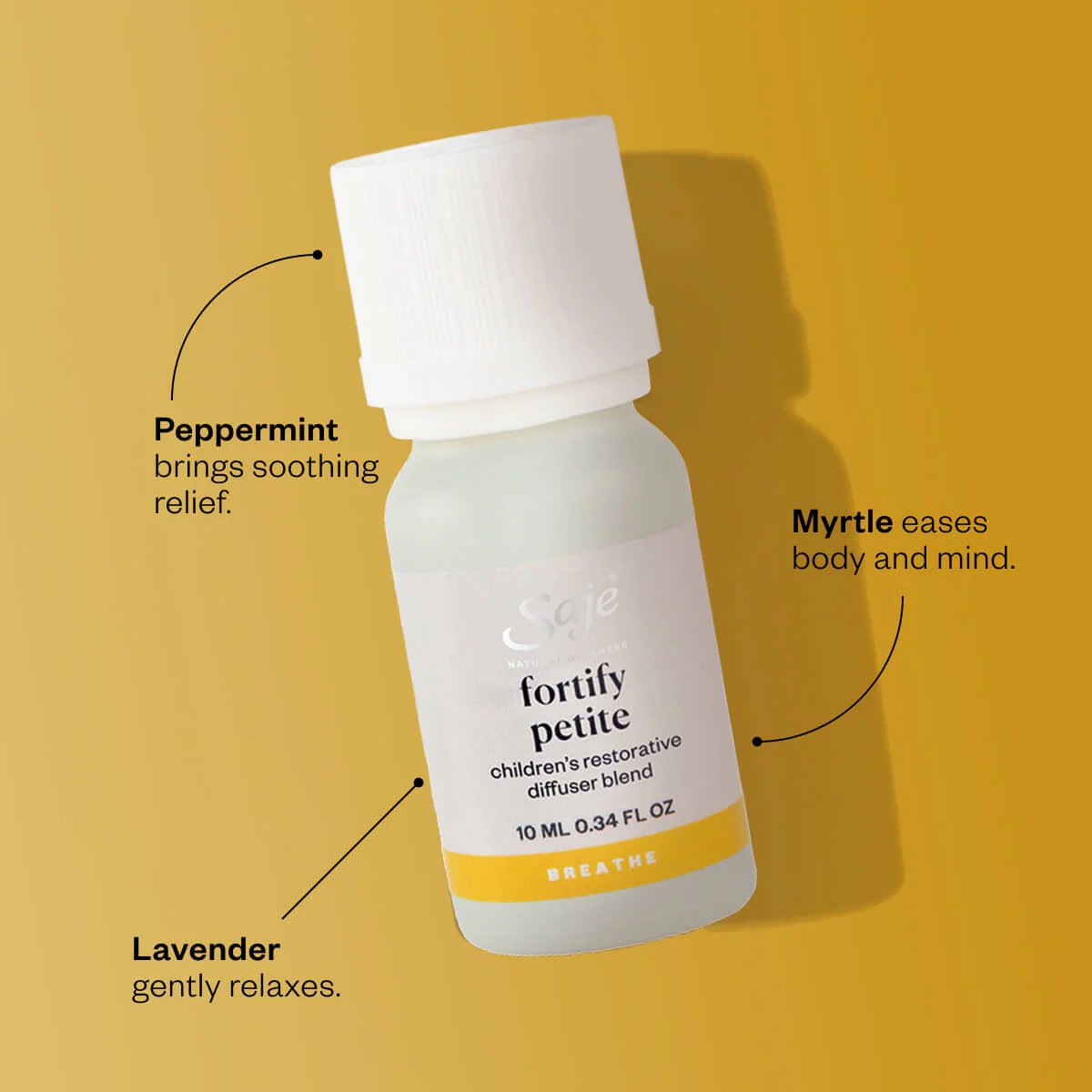 Fortify Petite - Image 2