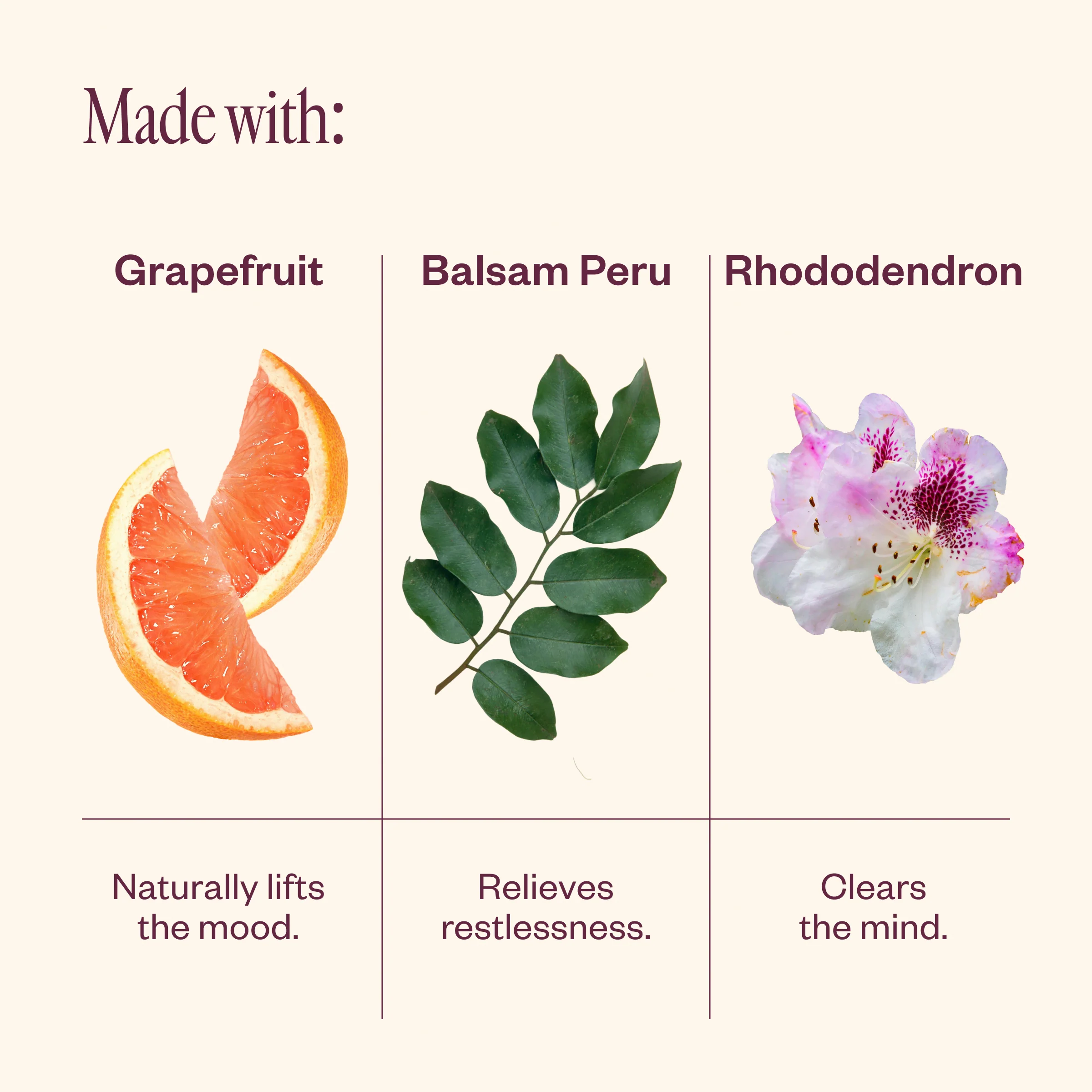Fresh Bloom - Image 4