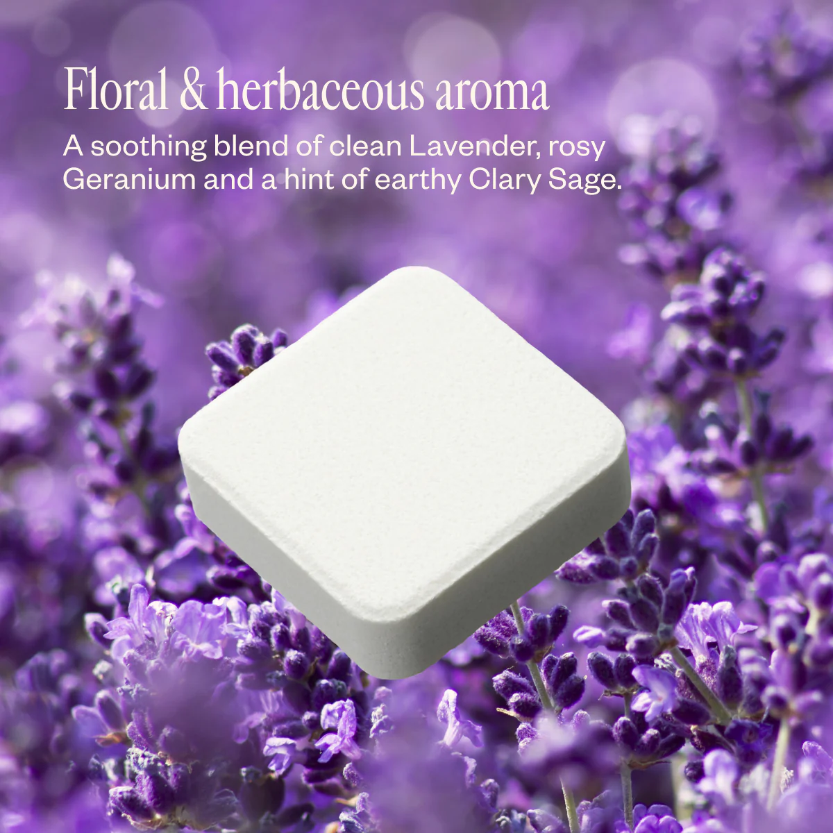 Fresh Bloom - Image 5