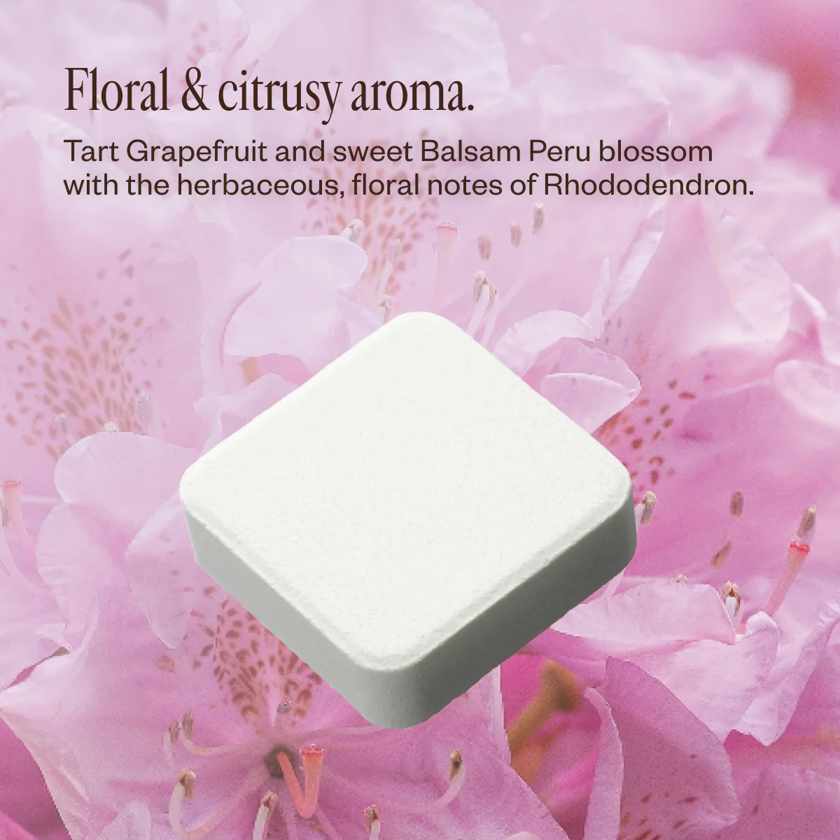 Fresh Bloom - Image 7