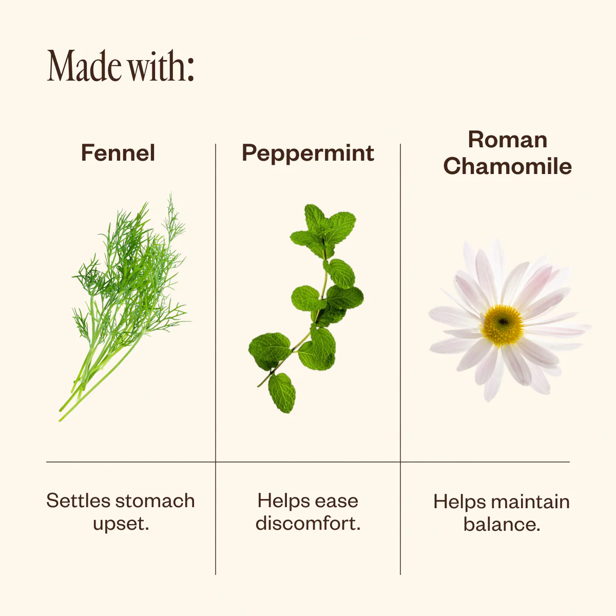 Gutzy® - Image 4
