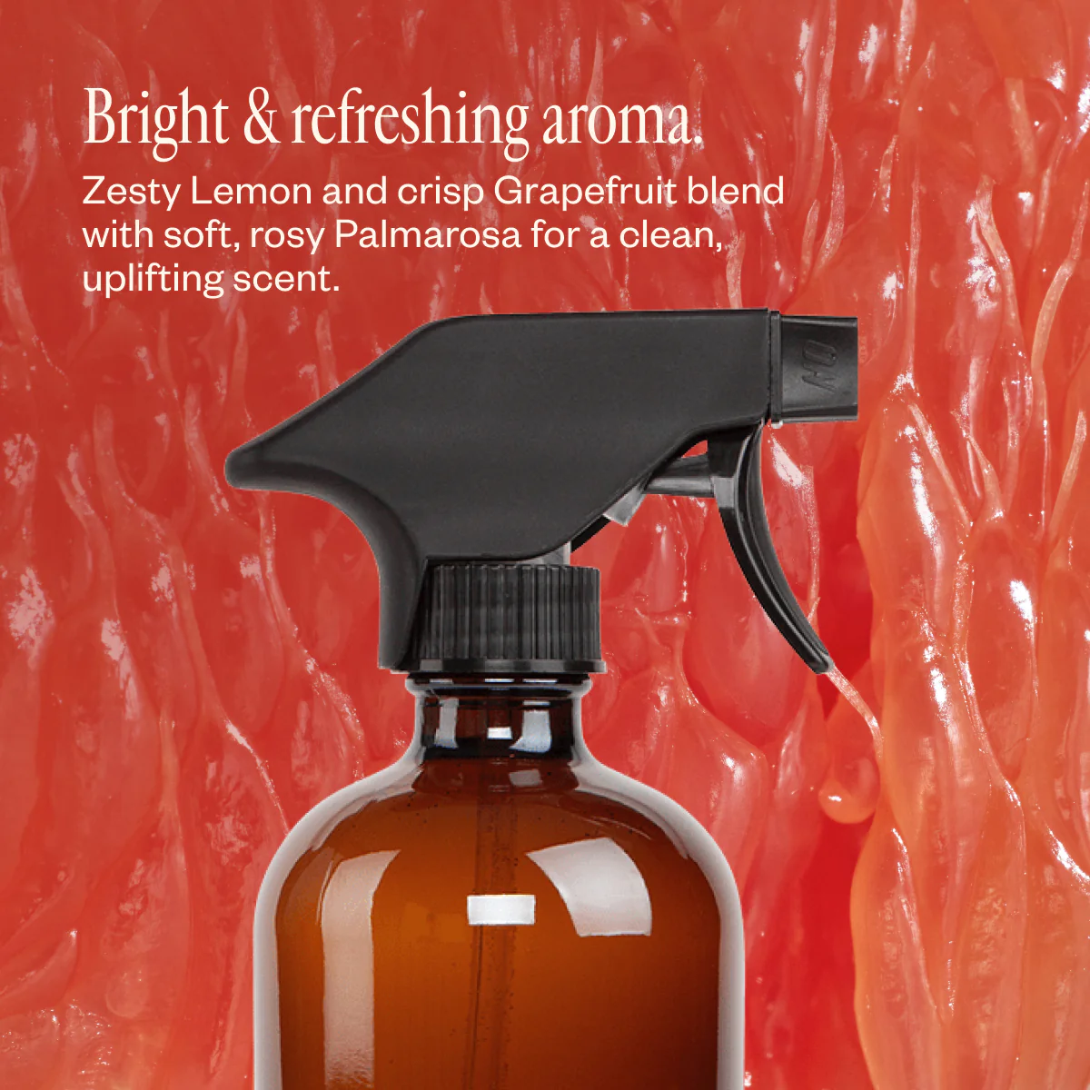 Home Cleaning Starter Kit - Image 8