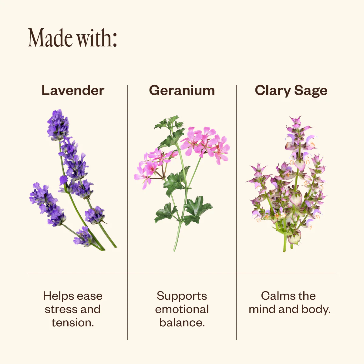 Lavender & Friends Cloud Wash - Image 5
