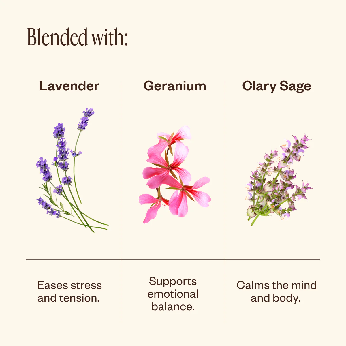 Lavender & Friends Trio - Image 5