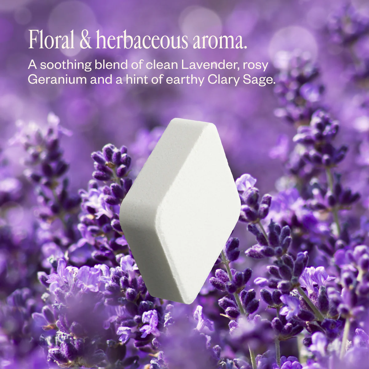 Lavender Haze - Image 5