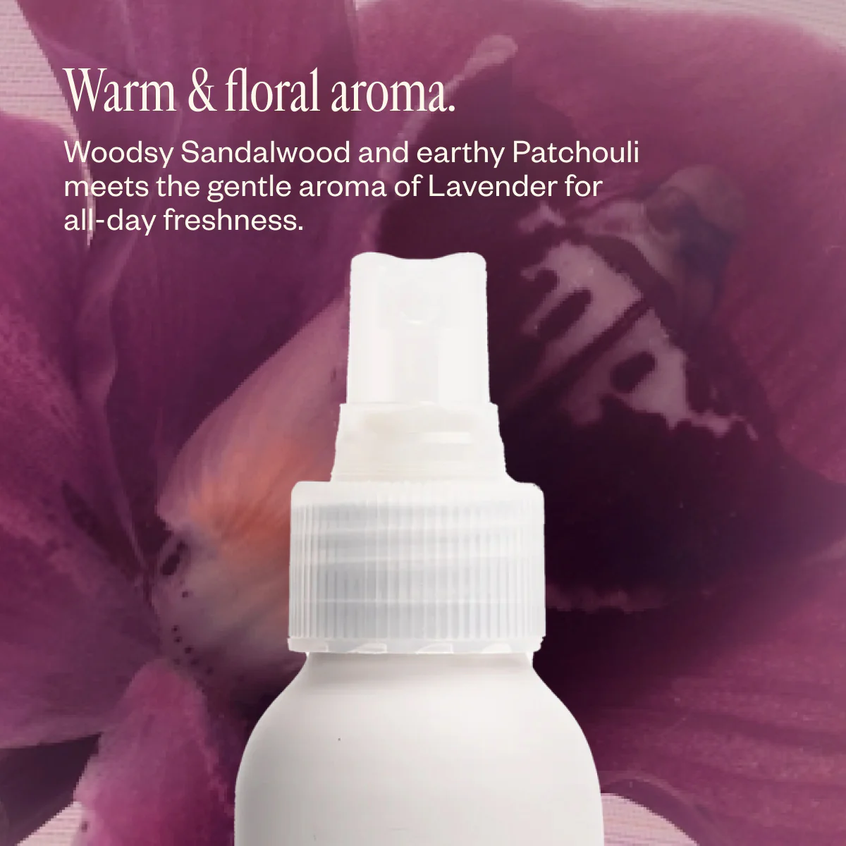 Lavender Lathers - Image 7