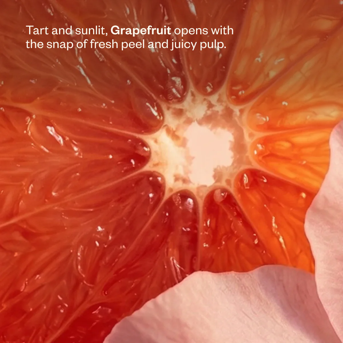 Liquid Sunshine® - Image 5
