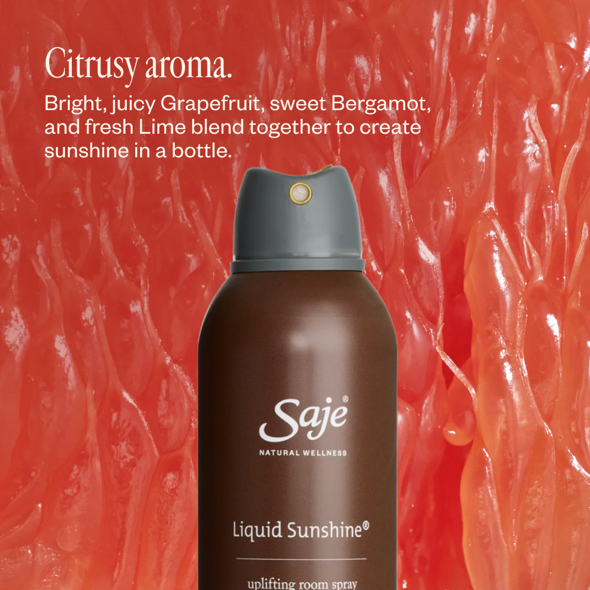 Liquid Sunshine - Image 6