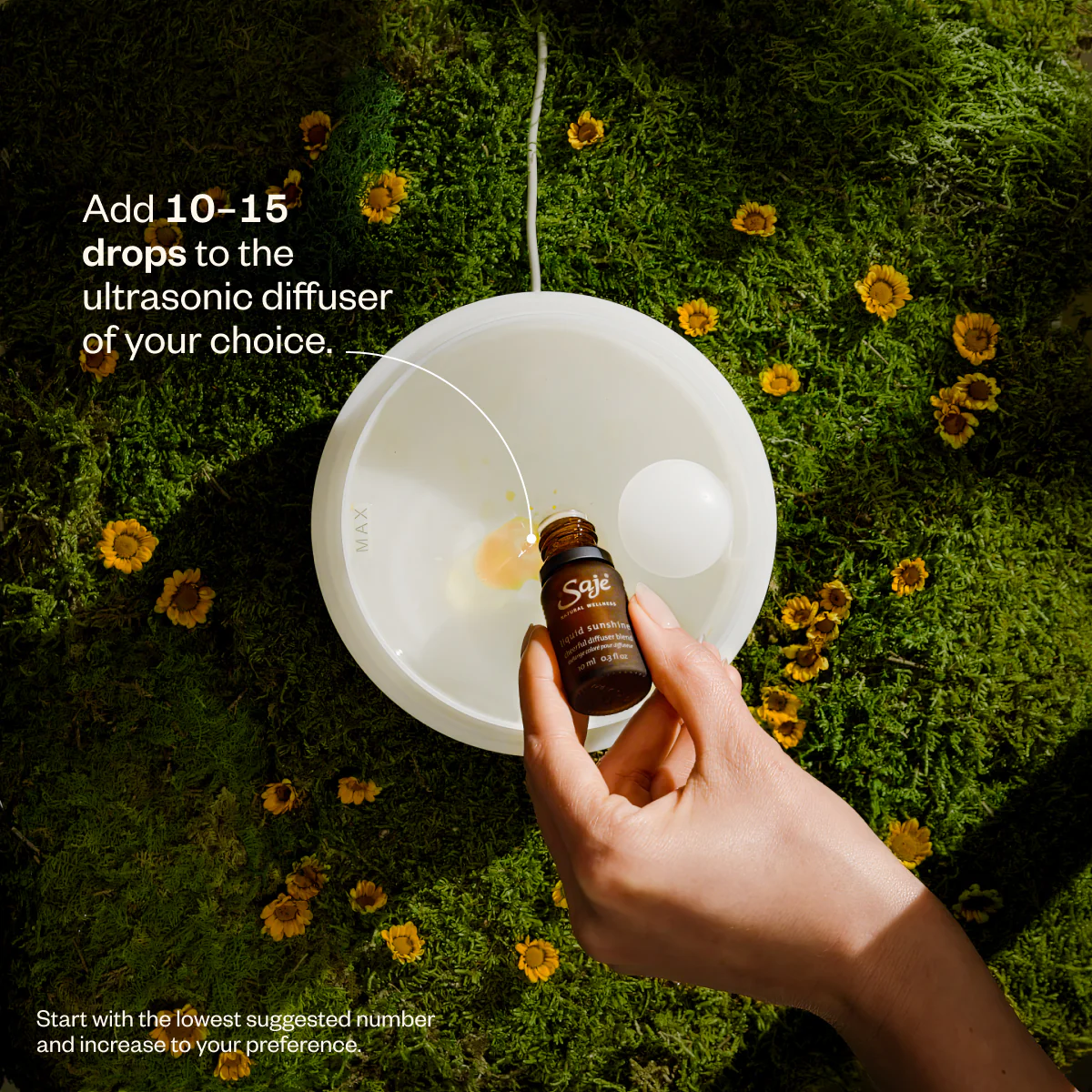 Liquid Sunshine - Image 7