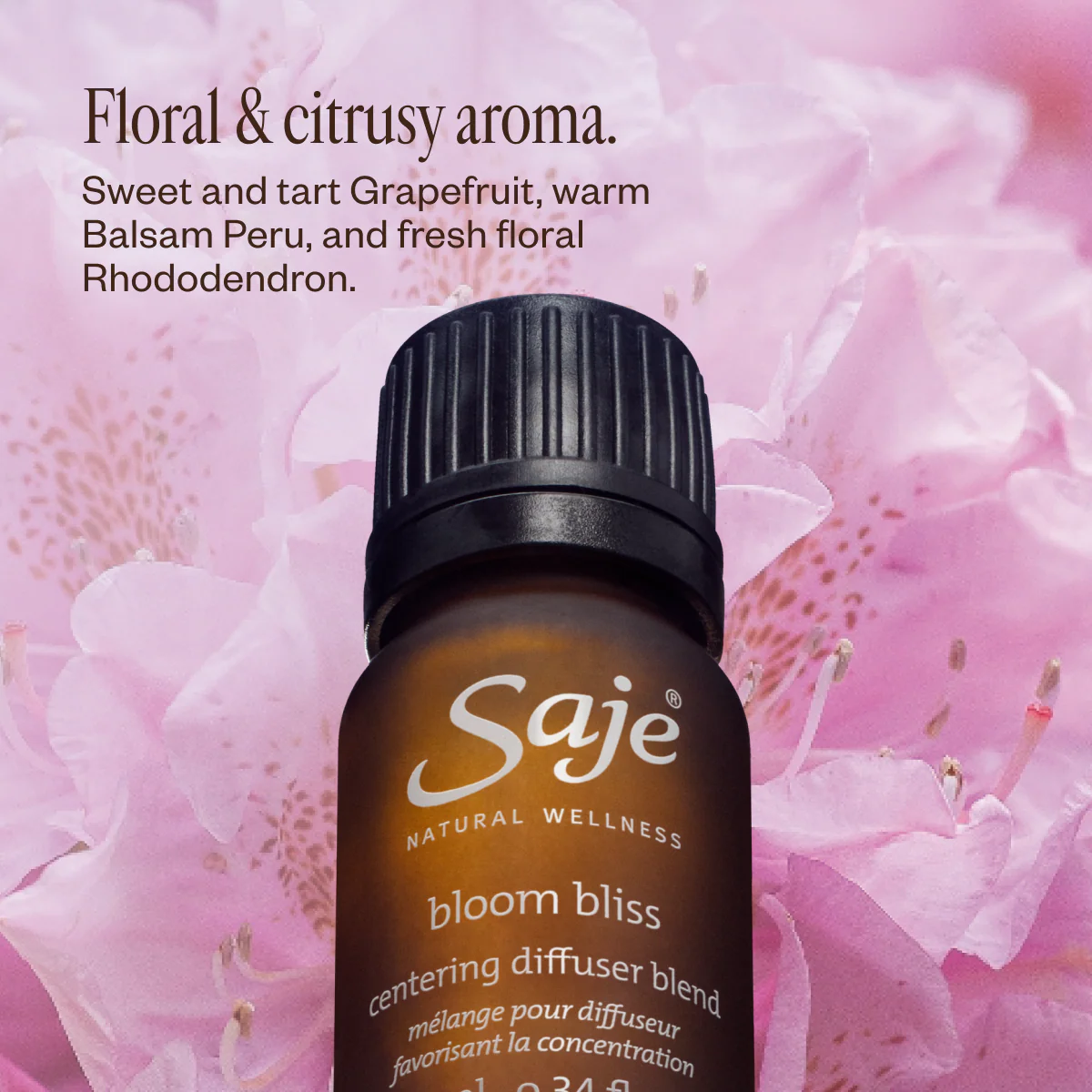 Made for You: Feel the Love Trio - Image 6