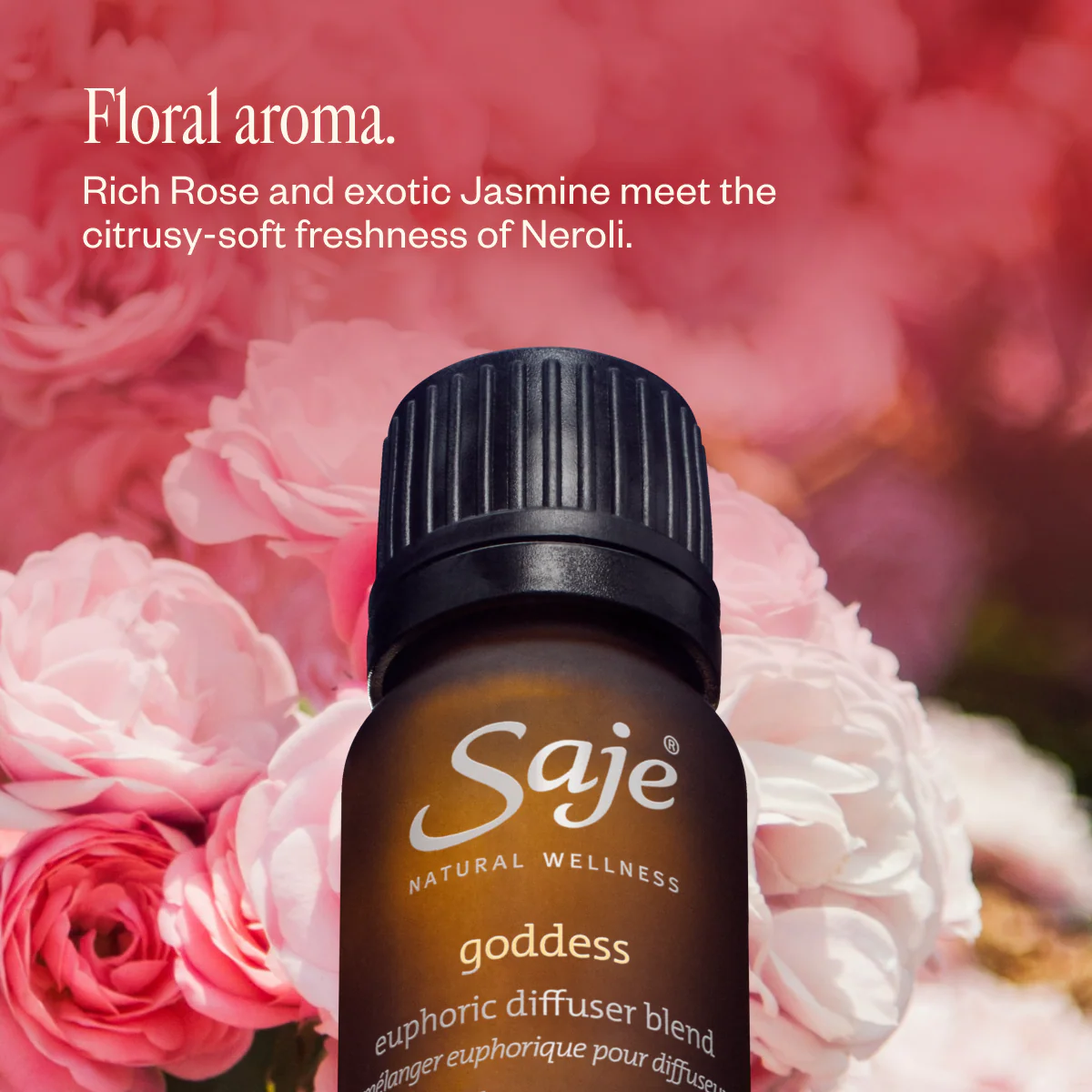 Made for You: Feel the Love Trio - Image 8