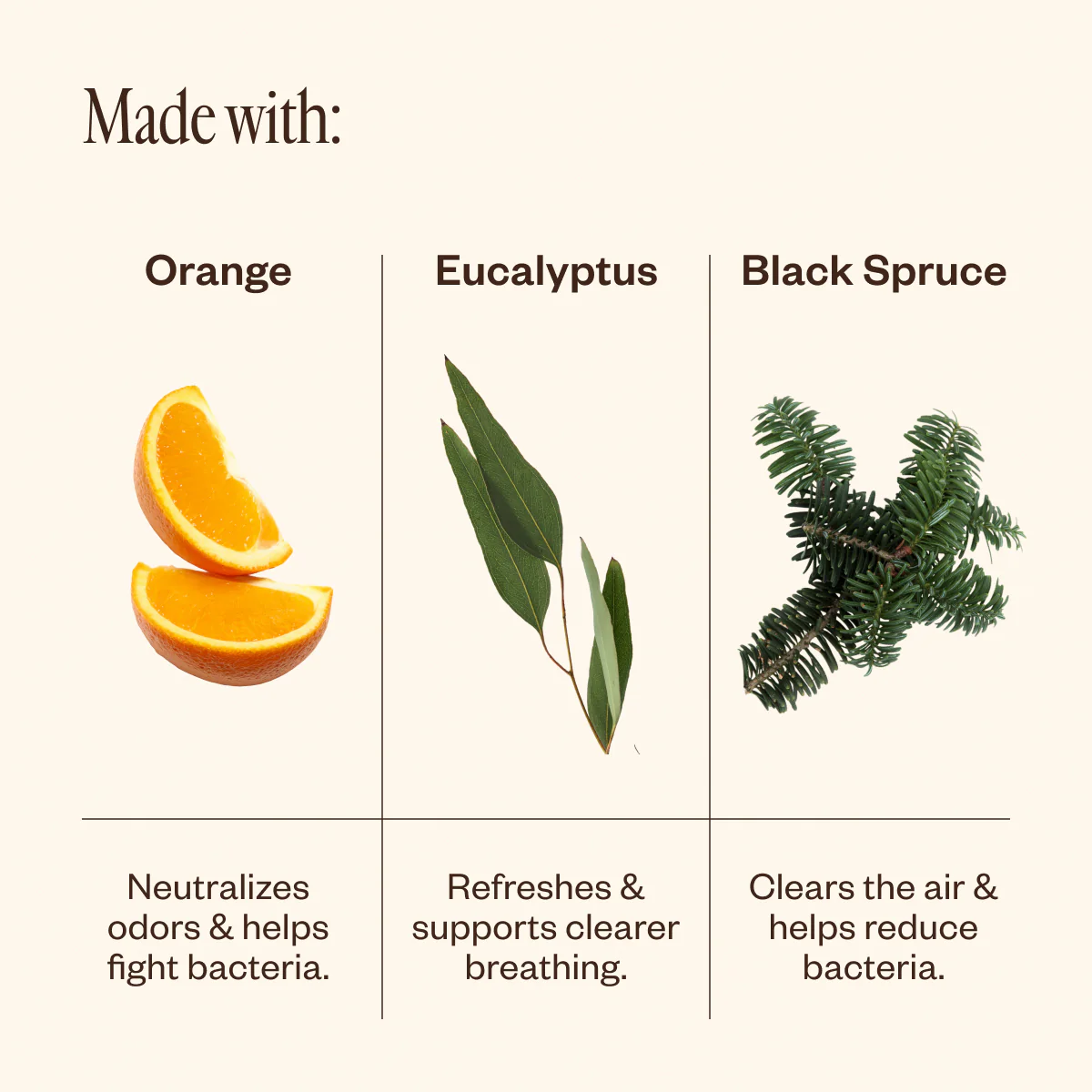 Multi-Surface Cleaning Kit - Image 4