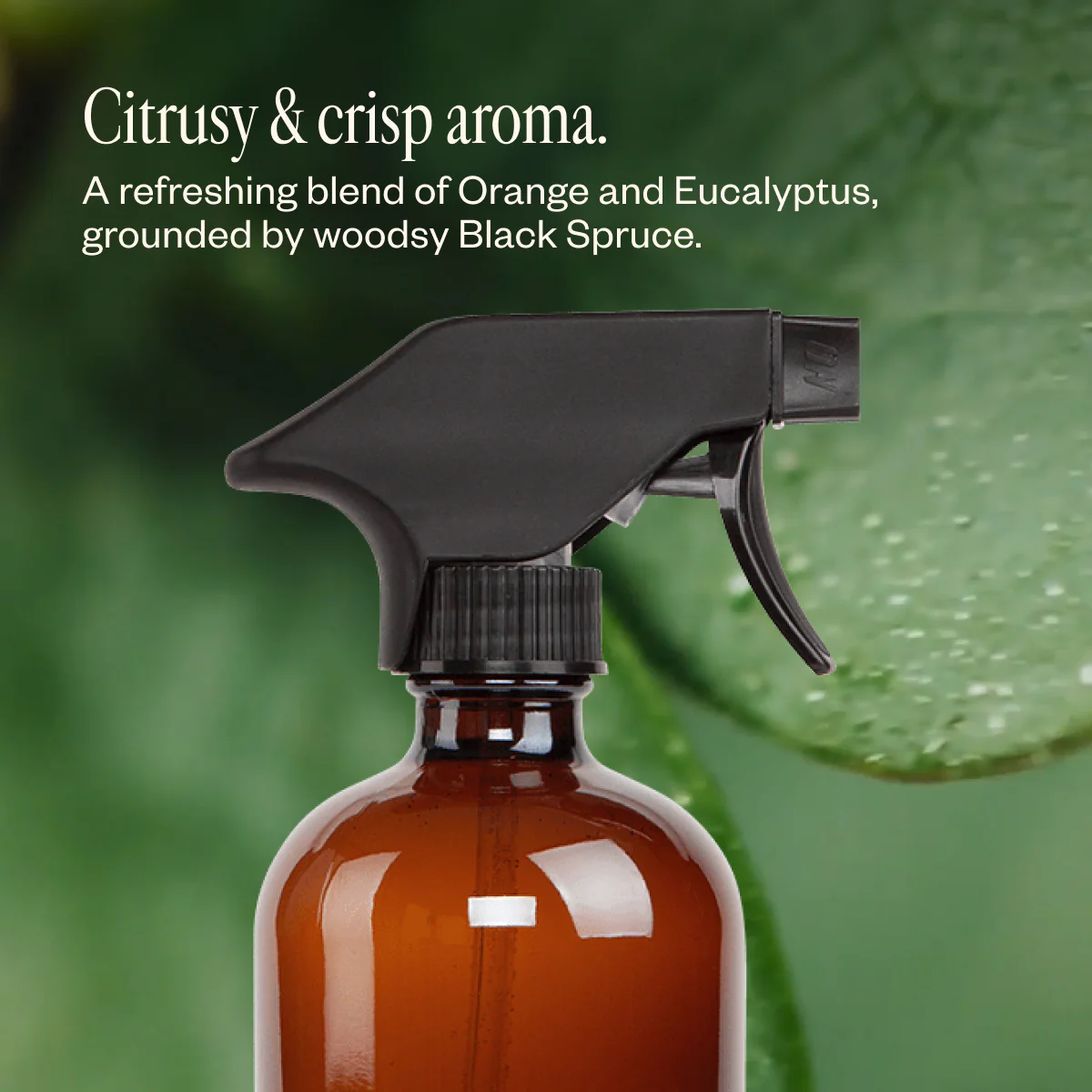Multi-Surface Cleaning Kit - Image 5