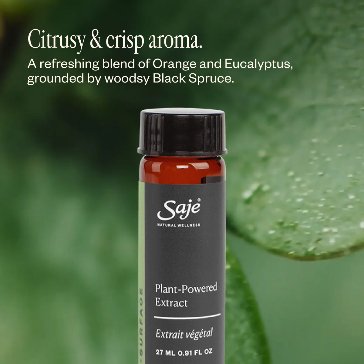 Multi-Surface Cleaning Refill - Image 5